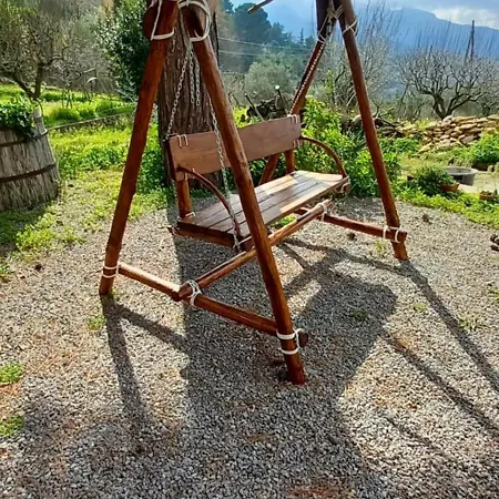 D'anna Cefalu