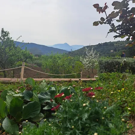 Holiday home D'anna *